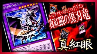 【遊戯王ADS】赤き竜の可能性！真紅眼の黒刃竜【YGOPro】