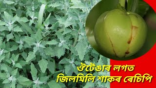 কুমলীয়া ঔটেঙা আৰু জিলিমিলি শাকৰ এটা সোৱাদ আৰু সহজ উপকৰণ