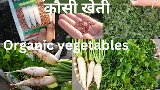 Rooftop Organic Vegetables Garden / Harvesting vegetables and regrowing Radish ,Coriander #garden