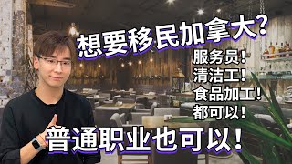 想要移民加拿大？服务员！清洁工！食品加工员都可以！