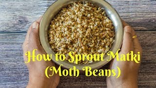 How to sprout Matki -Moth Beans Sprouts-Kalimirchbysmita Episode (248)