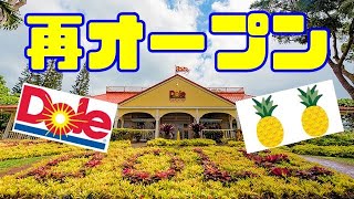 【ハワイ散歩】コロナ禍で閉店していたドールプランテーションが１１月１２日より再オープンしたので、早速パイナップルアイスクリームを食べに行きました。