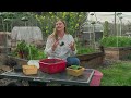 chicken compost make your own potting mix for healthier plants