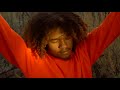 Carlos Niño & Friends - Forest Pulse (with Laraaji and Photay) OFFICIAL VIDEO