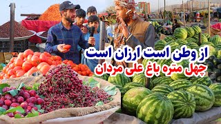 گزارش عمران حیدری از جاده چهل متره باغ علی مردان کابل، هموطنان سابقه دار