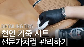 천연 가죽 시트 관리하는 방법 | 셀프세차 팁 7