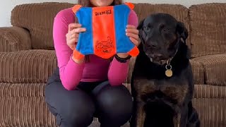 Chuckit! Flying Squirrel Dog Toy Large Review