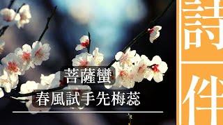 詩文日曆之正月十四：菩薩蠻 春風試手先梅蕊（宋 趙令畤）【如果不被世俗理解  不要解釋 去尋找更高遠的世界】