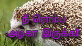 நீ ரொம்ப அழகா இருக்க! | Nee Romba  Azhaga Iruka