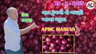 લાલ ડુંગળી ની બમણી આવક || દેવળીયા ભરતી સાલું || APMC MAHUVA || Ad Gujarati News  Rad onion Ret