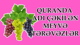 Quranda adı çəkilən meyvələr