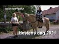 Vegårshei bygdetun: Hestens dag