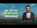 cara beli ikan pakai efresh untuk juragan ikan