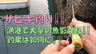 【サビキ釣り】熊本の海で釣りしてみた❕❕漁港で大量の魚影発見！！釣果は如何に！？