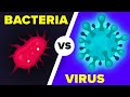 Virus vs Bacteria, What's Actually the Difference?