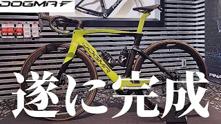 【私の愛車、自慢させて下さい！！】DOGMA F エレクトロライム（愛車紹介）