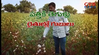 పత్తి పంటకు తెగుళ్ల బెడద.. | Farmers Facing Problems with Pests to Cotton in Narayankhed | CVR News