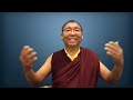 tsoknyi rinpoche befriending our