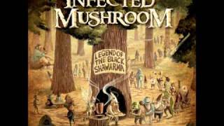 Infected Mushroom - Saeed ( Short and Unreleased Version ) + Lyrics