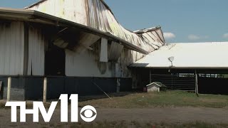 Fire destroys Arkansas livestock barn