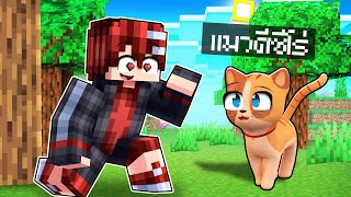 🏠เมืองหรรษา ตอน ดีซีโร่กลายเป็นแมว | Minecraft สตอรี่