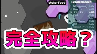 【starve.io】遂にアメジストを完全攻略！？生放送で公開収録したもののまさかの結果に….io版マイクラ実況