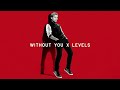 Avicii & David Guetta - Without You x Levels (Enseven Mashup) 