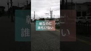 【特急わかしお】新茂原駅通貨の様子  外房線 通勤時間帯 #shorts #japan #japanlife