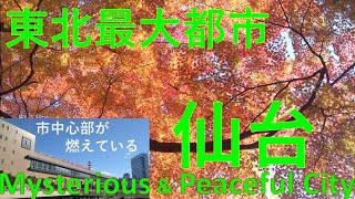 【東北最大都市 仙台】市中心部が幻想世界🌟関東・関西にいた私が驚いた🌟