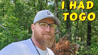 |tiny house, homesteading, off-grid, cabin build, DIY HOW TO sawmill tractor tin
