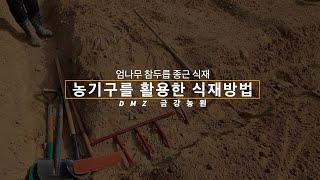 농기구를 활용한 식재방법 [엄나무 참두릅 종근 식재]