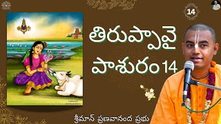 ఆండాళ్ తిరుప్పావై పాశురం 14 | Andal Thiruppavai Pasuram 14 || HG Pranavananda Prabhu