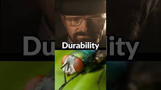 Walter white vs FLY #breakingbad