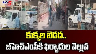 కుక్కల బెడద.. జీహెచ్ఎంసీకి ఫిర్యాదుల వెల్లువ | Hyderabad | GHMC | TV5 News Digital