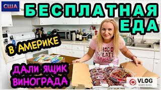 Бесплатная еда в Америке/ Ящик винограда и много мяса/Какой фудбанк мы посещаем? /США/ Флорида