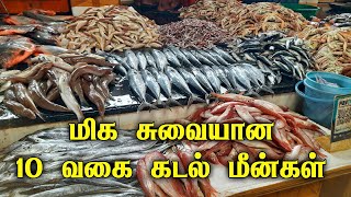 😊Top 10 Tastiest Sea Fishes | டாப் 10 சுவையான கடல் மீன் வகைகள்#Top 10 tasty fishes