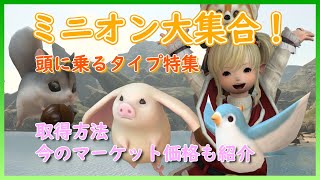 FF14 ミニオン大集合！頭に乗ってくれるミニオン特集