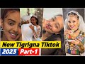 new tigrigna tiktok collection vedio  new tigrigna music 2023  tigray music eritrean   music  tigray