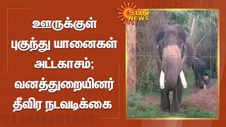 WildElephants | ஊருக்குள் புகுந்து காட்டு யானைகள் அட்டகாசம்; வனத்துறையினர் தீவிர நடவடிக்கை