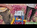 सखा कांदा कापणी यंत्र kanda kapni yantra onion cutter garlic lasun cutter लहसुन प्याज काटनेकी मशीन