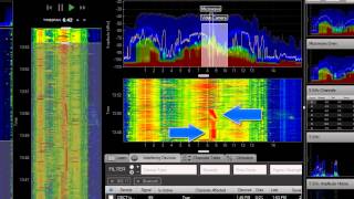 Chanalyzer Pro with Cisco CleanAir: A MetaGeek Demo