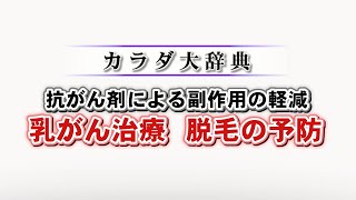 【カラダ大辞典/2021年4月17日放送】 『乳がん治療　脱毛の予防』　金沢医科大学/乳腺内分泌外科・乳腺センター：井口 雅史 准教授