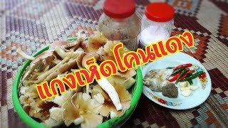 แกงเห็ดโคนแดง by วิถีคนเมืองเหนือ