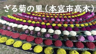 ドローン空撮　ざる菊の丘（本宮市高木）