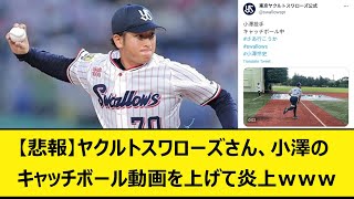 【悲報】ヤクルトスワローズさん、小澤のキャッチボール動画を上げて炎上ｗｗｗ【バウアー音声、バウアーボイス】【なんJ、なんG】【5ch、2ch】【プロ野球、阪神タイガース、梅野、骨折、岡田監督、今野】