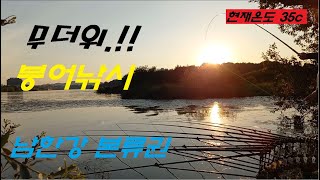 #25 갈수기..배수기에 무더위에 만난 강붕어 고놈 당차네