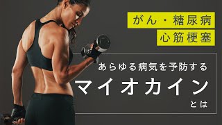 【筋トレ効果】筋肉から分泌される抗がん物質「マイオカイン」とは？