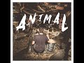 animal