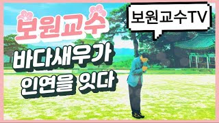 보원교수의 바다새우 꿈이야기 ,海虾的梦故事 ,普元教授  바다새우는 한중인연을 잇고 있다 Professor Bo-won TV