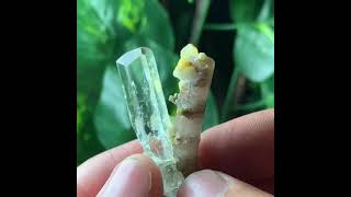 Apatite \u0026 Aquamarine with Albite and Muscovite